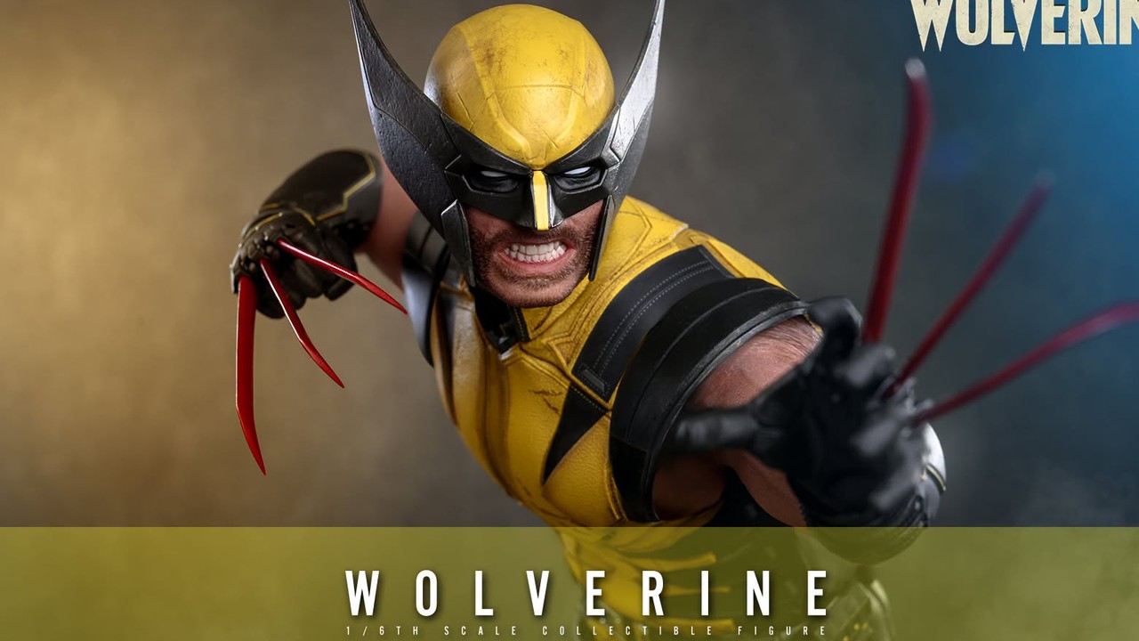 Hot Toys Insomniac Wolverine figure still (Hot Toys / Sideshow style product photography). Shelf argument during Wolverine week one.