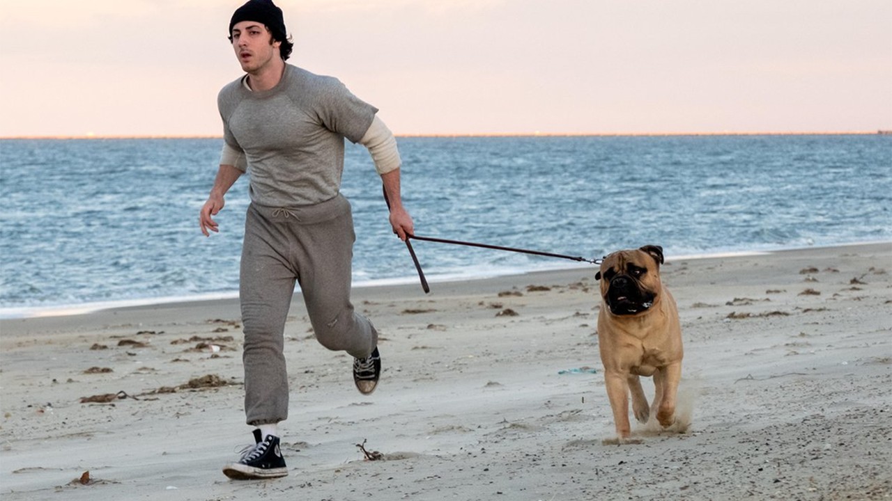 I Play Rocky turns Stallone's origin into TIFF applause fuel